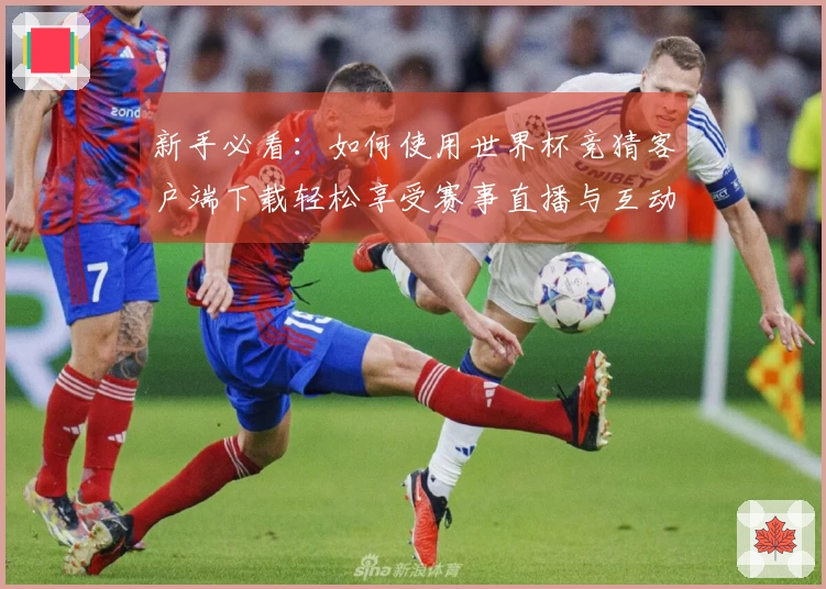 新手必看：如何使用世界杯竞猜客户端下载轻松享受赛事直播与互动功能