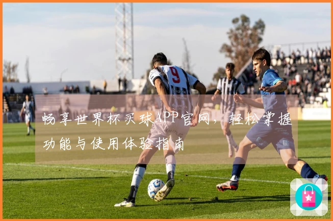 畅享世界杯买球APP官网，轻松掌握功能与使用体验指南