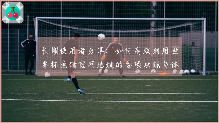 长期使用者分享：如何高效利用世界杯竞猜官网地址的各项功能与体验