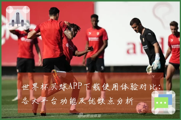 世界杯买球APP下载使用体验对比：各大平台功能及优缺点分析