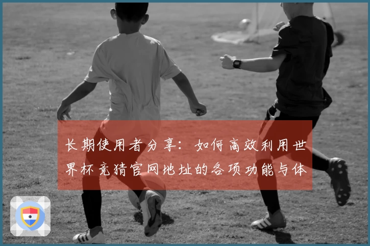 长期使用者分享：如何高效利用世界杯竞猜官网地址的各项功能与体验